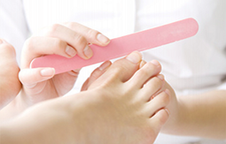 ファイリング（カット）